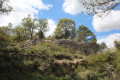 Pou del Canonge in Ibi Pou del Canonge à Ibi