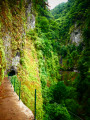 Levada da Ribeira da Janela Levada da Ribeira da Janela