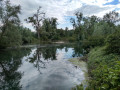 Île et Réserve Naturelle du Rohrschollen à Strasbourg (version courte) Île et Réserve Naturelle du Rohrschollen à Strasbourg (version courte)