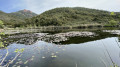 Bioreservat Estérel Réserve Biologique de l'Estérel