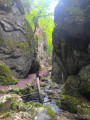 Wolfsbachschlucht in Herbetswil Gorges du Wolfsbach à Herbetswil