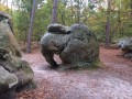Barbizon „auf den Spuren der Maler” Barbizon "la trace des peintres"