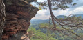 Aussichtspunkte und Felsformationen im Wasgau Points de vue et formations rocheuses du Wasgau