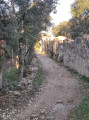 Der Pont du Gard und das römische Aquädukt Le Pont du Gard et l'aqueduc romain