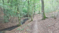 Dans le Bois du Grand Fréchy à Biesme Dans le Bois du Grand Fréchy à Biesme