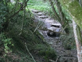 Der Zauberwald von Vallin Forêt magique de Vallin