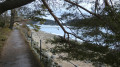 Rund um den Schluchsee Tour du Lac de Schluch (Schluchsee)