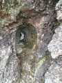La Rhune von Olhette aus La Rhune depuis Olhette