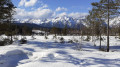 Seefeld Seefeld