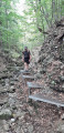 Sentier aménagé Sentier aménagé