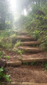 sentier aménagé sentier aménagé