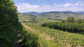 Entdecken Sie den Mont Brouilly À la découverte du Mont Brouilly