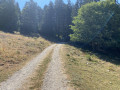 Sentier forestier Sentier forestier