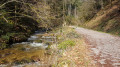 Sentier qui longe la rivière Sentier qui longe la rivière