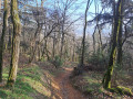 Rundweg um den Montmiandon mit Blick auf Annonay Boucle autour du Montmiandon avec vue sur Annonay