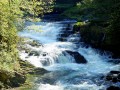 Les Gorges de Nouailles Les Gorges de Nouailles