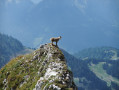 La Dent d'Oche à partir de Novel La Dent d'Oche à partir de Novel