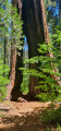South Grove Trail South Grove Trail
