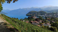 Thun - Spiez über den Panorama Rundweg Thunersee Thun - Spiez par le Panorama Rundweg Thunersee