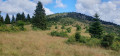 Der Petit Ballon vom Hilsen aus gesehen Le Petit Ballon depuis le Hilsen