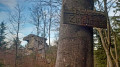Über den Zipfeltannenfelsen zum Räuberfelsen und Vogelfelsen Über den Zipfeltannenfelsen zum Räuberfelsen und Vogelfelsen