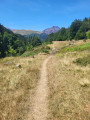 Der Bois du Sansanet und der Col Causiat rund um den Somport Le Bois du Sansanet et le Col Causiat autour du Somport