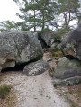 Eine große Tour durch den Wald von Fontainebleau Un grand tour en Forêt de Fontainebleau