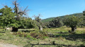 Die Menhire des Plateau Lambert vom Croix d'Anselme aus gesehen Les Menhirs du Plateau Lambert depuis la Croix d'Anselme