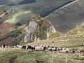 Der Arthanolatze und der Pic des Escaliers als Rundwanderung von den Chalets d'Iraty aus L'Arthanolatze et le Pic des Escaliers en boucle depuis les chalets d'Iraty