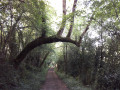 Promenade verte comme une Orange Promenade verte comme une Orange