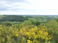 Puy Courny und Bergrücken: Berge in der Stadt Puy Courny et crêtes : la montagne dans la ville