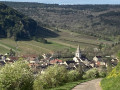 Meursault to Pommard - Route des Grands Crus