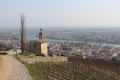 Aussichtspunkte und Weinberge von Tain-l'Hermitage Belvédères et vignobles de Tain-l'Hermitage