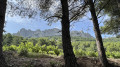 Die Dentelles de Montmirail ab Gigondas Les dentelles de Montmirail à partir de Gigondas