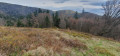 Alpines Flair im Herzen der Vogesen Sensations alpines au cœur des Vosges