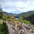Auf den Anhöhen des Kruth-Sees Sur les hauteurs du Lac de Kruth