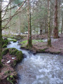 Von Besse-et-Saint-Anastaise zum Lac Pavin De Besse-et-Saint-Anastaise au Lac Pavin