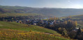 Sentier Vin et Nature du Palmberg Sentier Vin et Nature du Palmberg