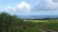 Tour du domaine de la Digue au départ de la Ferme des Hauts de Cambrefort Tour du domaine de la Digue au départ de la Ferme des Hauts de Cambrefort