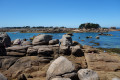 Côte de granit rose à Ploumanach