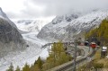 De la Mer de Glace à Chamonix par la forêt De la Mer de Glace à Chamonix par la forêt