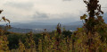 Die Weinberge von Ampuis Les vignobles d'Ampuis