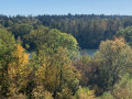 Rundweg im Süden des Forêt de Rougeau Boucle dans le Sud de la Forêt de Rougeau