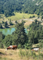 Randonnée des trois lacs Randonnée des trois lacs