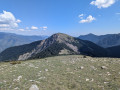 Lauvet d'Ilonse au départ du Col de la Sinne