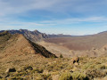 Vue sur le parc du Teide Vue sur le parc du Teide