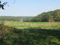 Landschaft und Wald in Brabant um Pécrot-Nethen Campagne et forêt dans le Brabant autour de Pécrot-Nethen