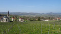 Boucle autour de Jongieux Boucle autour de Jongieux