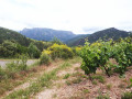 Die Schluchten des Orb mit Start in Ceps Les Gorges de l'Orb au départ de Ceps
