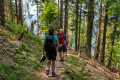 Blick auf zwei Städte - Schönau im Schwarzwald Blick auf zwei Städte - Schönau im Schwarzwald